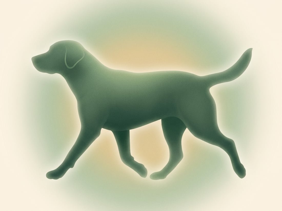 Where PetViMed peptides help